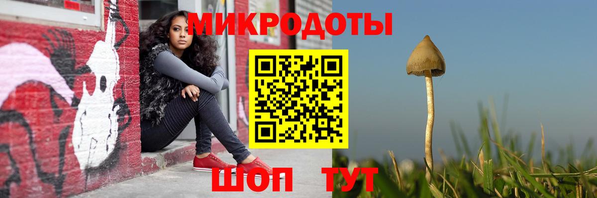 Галлюциногенные грибы Magic Shrooms  Галлюциногенные грибы прущие грибы  Апатиты  Вход с VPN 