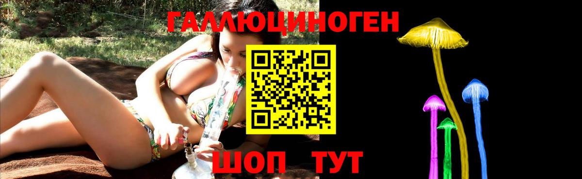 Псилоцибиновые грибы мицелий Апатиты